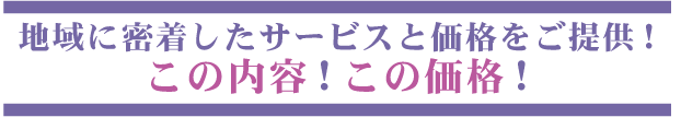 nɖT[rXƉi񋟁I̓eỈiI