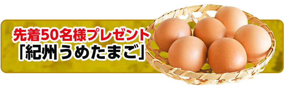 岩出市で葬儀・家族葬をご検討ならセレモール那賀へ!イベント開催中!