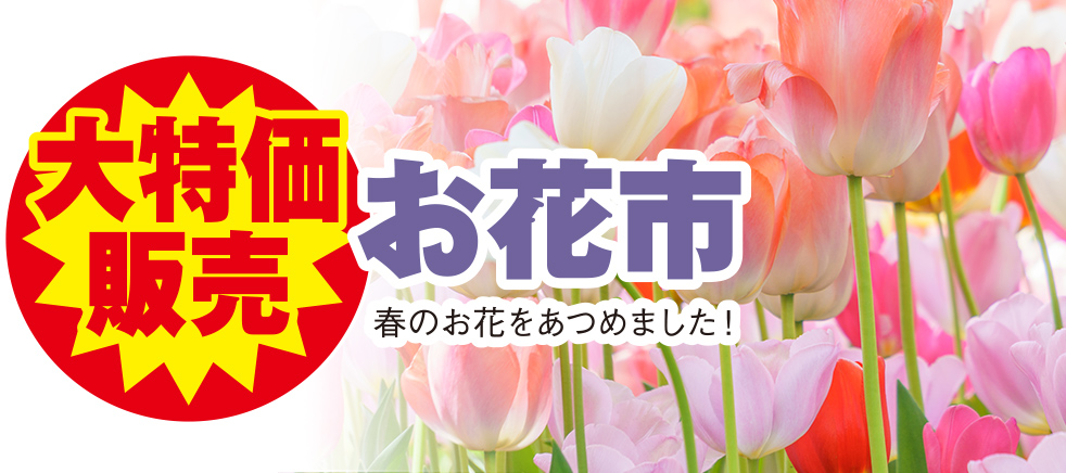 紀の川市で葬儀・家族葬をご検討ならセレモール那賀へ！イベント開催